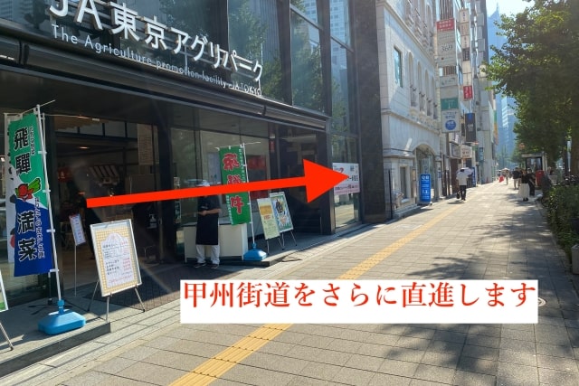 東京鍼灸新宿院の新宿南口からの経路6