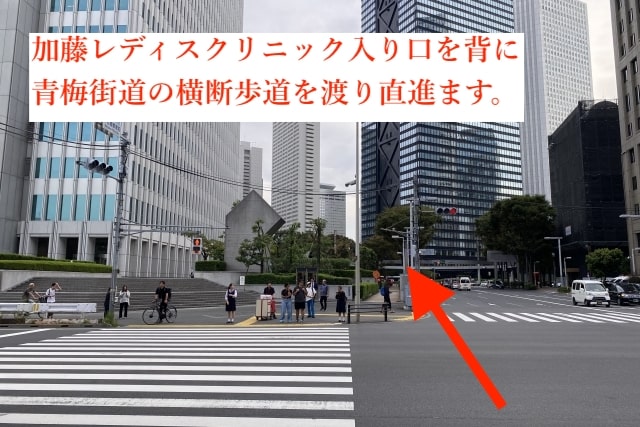 東京鍼灸新宿院の加藤レディスクリニックからの経路2