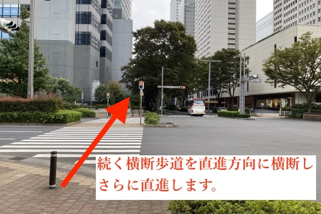 東京鍼灸新宿院の加藤レディスクリニックからの経路5