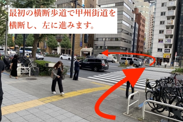 東京鍼灸新宿院の加藤レディスクリニックからの経路8