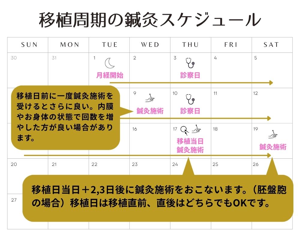胚移植周期の鍼灸通院スケジュール