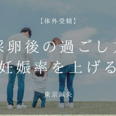 採卵後の過ごし方で差がつく|回復と妊娠率を上げるコツ