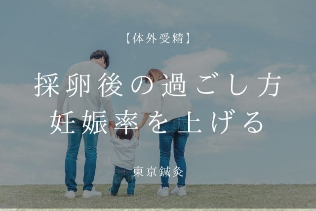 採卵後の過ごし方で差がつく|回復と妊娠率を上げるコツ
