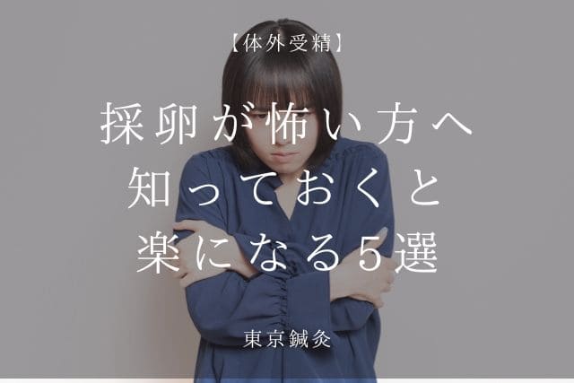 採卵が怖い人へ｜やる前に知っておくとラクになる5つのこと