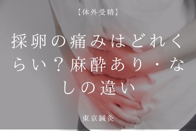 採卵の痛みはどれくらい？麻酔あり・なしのリアルな違い